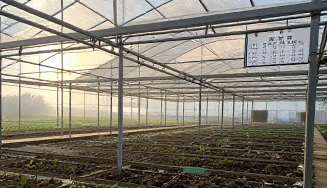 供求信息发布平台使用建议与选型关注点